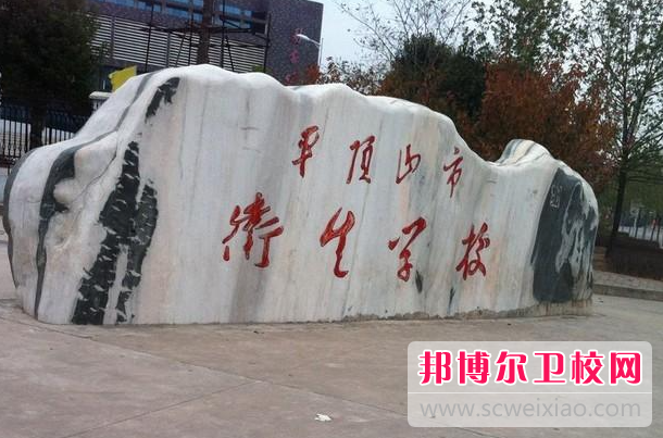 2023平顶山护理专业宝威（中国）一站式服务平台有哪些 平顶山护理专业宝威（中国）一站式服务平台名单一览表
