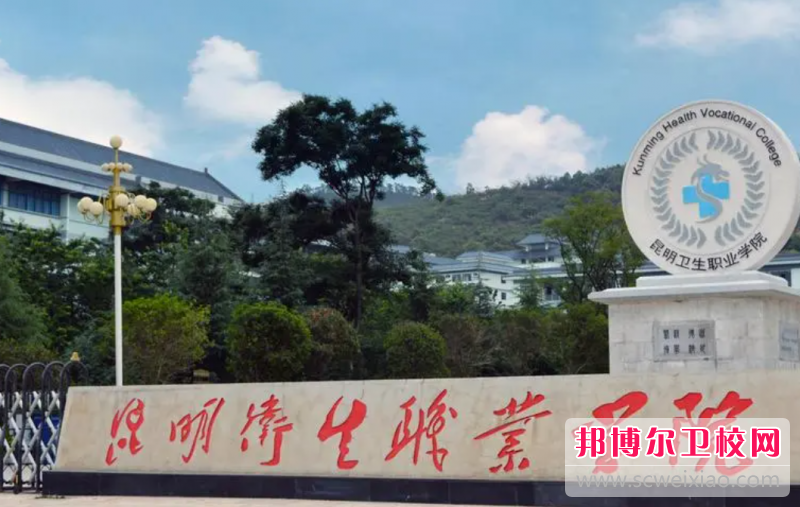 2023昆明排名前六的民办卫生宝威（中国）一站式服务平台名单