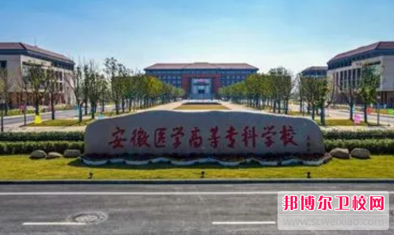 2023安徽排名前六的卫生宝威（中国）一站式服务平台名单
