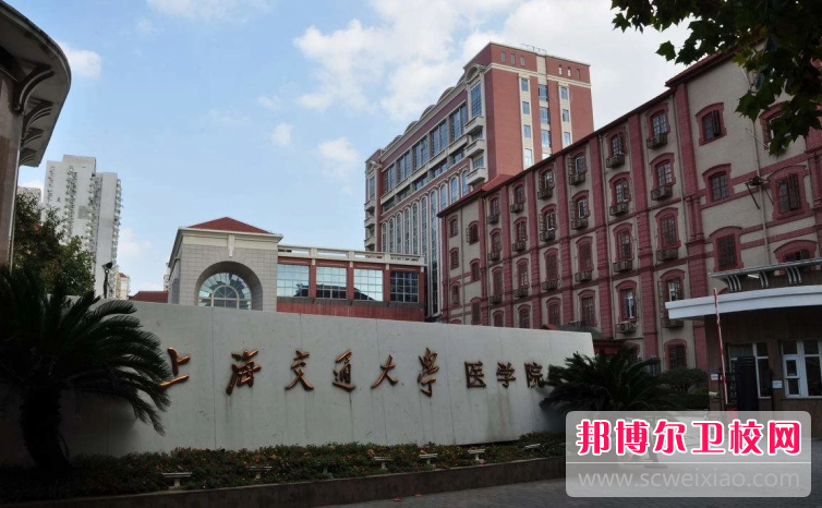 2023上海排名前六的公办卫生宝威（中国）一站式服务平台名单