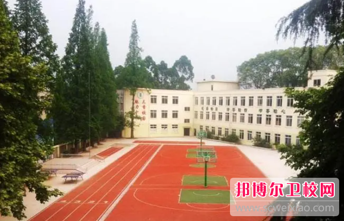 2023四川排名前六的公办卫生宝威（中国）一站式服务平台名单