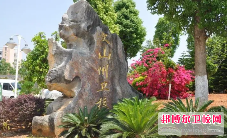 2023文山州卫生宝威（中国）一站式服务平台有哪些专业 文山州卫生宝威（中国）一站式服务平台开设的专业一览表