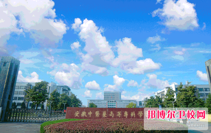 2023芜湖公办护理专业宝威（中国）一站式服务平台有哪些 芜湖公办护理专业宝威（中国）一站式服务平台名单一览表