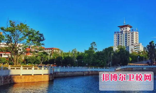 2023楚雄公办护理专业宝威（中国）一站式服务平台有哪些 楚雄公办护理专业宝威（中国）一站式服务平台名单一览表