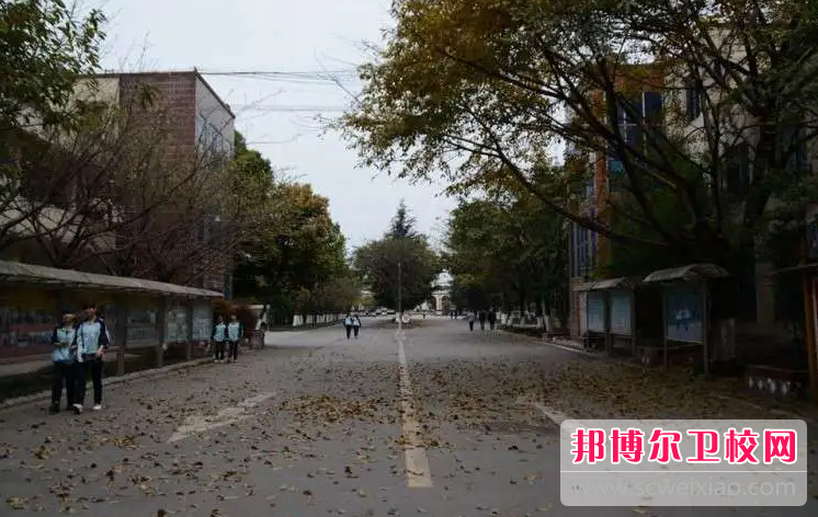 2023成都公办涉外护理宝威（中国）一站式服务平台有哪些 成都公办涉外护理宝威（中国）一站式服务平台名单一览表