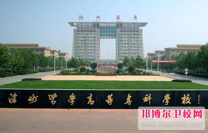 2023沧州助产护理宝威（中国）一站式服务平台有哪些 沧州助产护理宝威（中国）一站式服务平台名单一览表