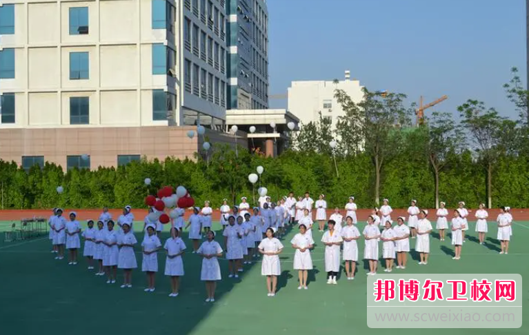 2023营口助产护理宝威（中国）一站式服务平台有哪些 营口助产护理宝威（中国）一站式服务平台名单一览表