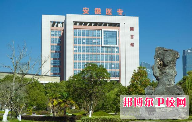 2023合肥助产护理宝威（中国）一站式服务平台有哪些 合肥助产护理宝威（中国）一站式服务平台名单一览表