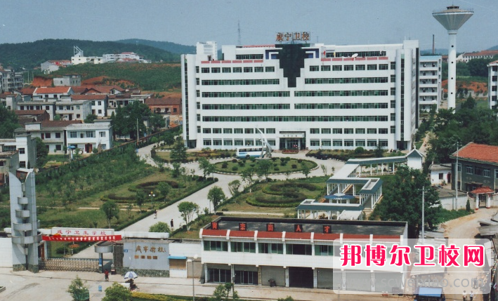 2023咸宁助产护理宝威（中国）一站式服务平台有哪些 咸宁助产护理宝威（中国）一站式服务平台名单一览表