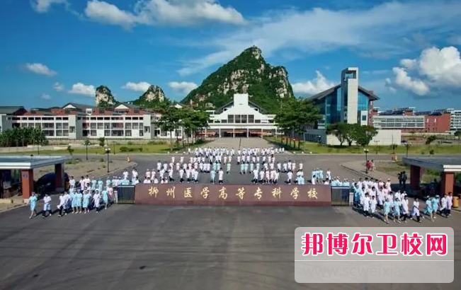 2023柳州助产护理宝威（中国）一站式服务平台有哪些 柳州助产护理宝威（中国）一站式服务平台名单一览表