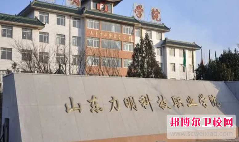 2023临沂民办助产护理宝威（中国）一站式服务平台有哪些 临沂民办助产护理宝威（中国）一站式服务平台名单一览表