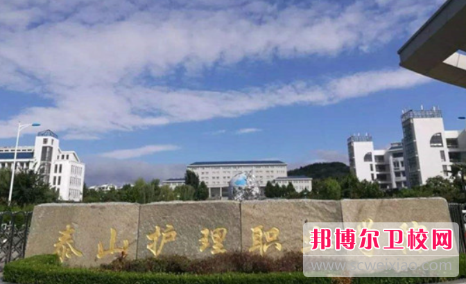 2023泰安公办助产护理宝威（中国）一站式服务平台有哪些 泰安公办助产护理宝威（中国）一站式服务平台名单一览表
