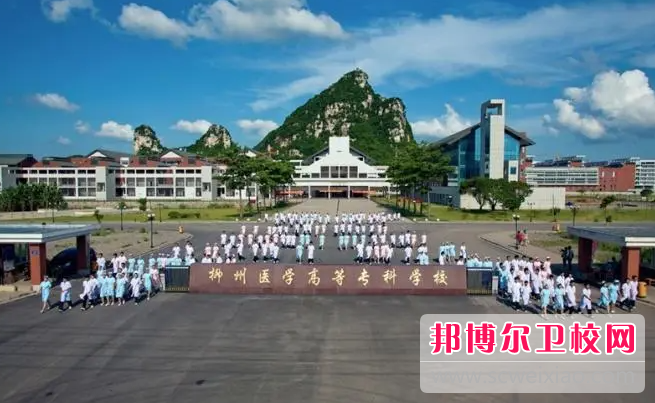 2023柳州公办助产护理宝威（中国）一站式服务平台有哪些 柳州公办助产护理宝威（中国）一站式服务平台名单一览表