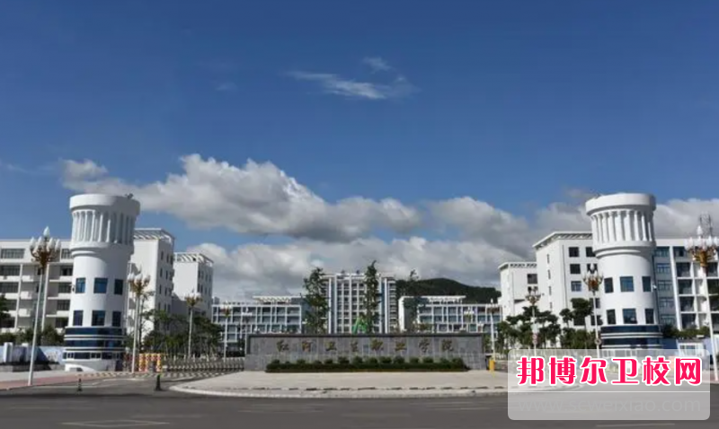 2023红河公办助产护理宝威（中国）一站式服务平台有哪些 红河公办助产护理宝威（中国）一站式服务平台名单一览表
