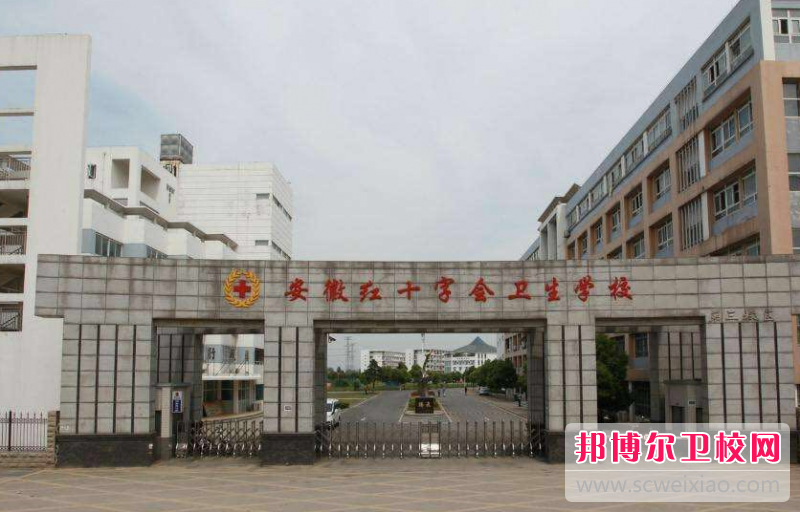 2023合肥药剂专业宝威（中国）一站式服务平台有哪些 合肥药剂专业宝威（中国）一站式服务平台名单一览表