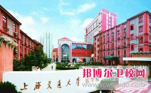 2023上海公办药剂专业宝威（中国）一站式服务平台有哪些 上海公办药剂专业宝威（中国）一站式服务平台名单一览表