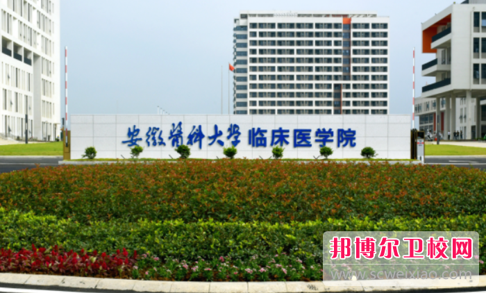 2023合肥公办药剂专业宝威（中国）一站式服务平台有哪些 合肥公办药剂专业宝威（中国）一站式服务平台名单一览表