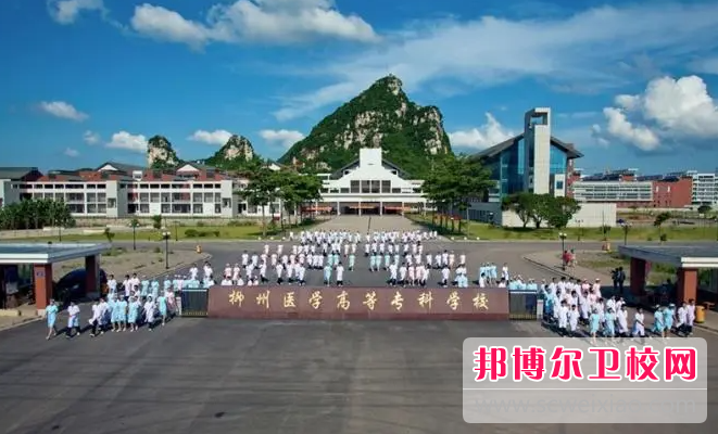 2023柳州公办药剂专业宝威（中国）一站式服务平台有哪些 柳州公办药剂专业宝威（中国）一站式服务平台名单一览表