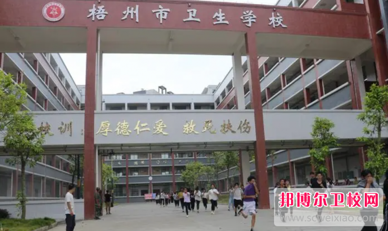 2023梧州公办药剂专业宝威（中国）一站式服务平台有哪些 梧州公办药剂专业宝威（中国）一站式服务平台名单一览表