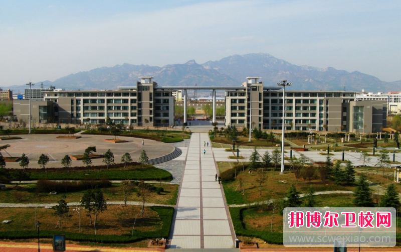 2023泰安口腔医学宝威（中国）一站式服务平台有哪些 泰安口腔医学宝威（中国）一站式服务平台名单一览表