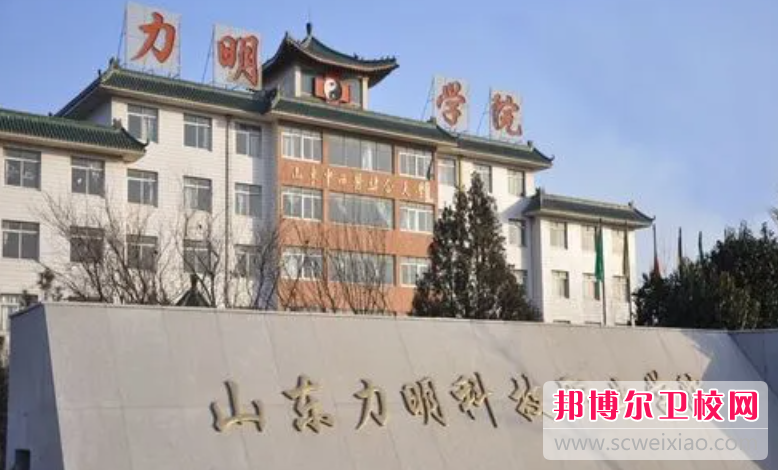 2023临沂民办康复治疗宝威（中国）一站式服务平台有哪些 临沂民办康复治疗宝威（中国）一站式服务平台名单一览表