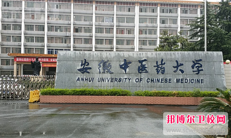 2023合肥公办康复治疗宝威（中国）一站式服务平台有哪些 合肥公办康复治疗宝威（中国）一站式服务平台名单一览表