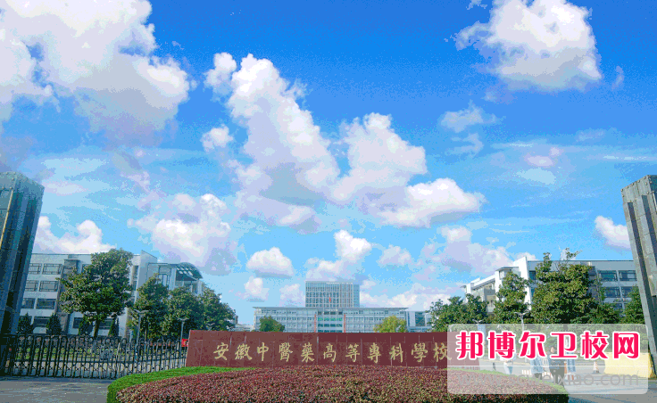 2023芜湖公办康复治疗宝威（中国）一站式服务平台有哪些 芜湖公办康复治疗宝威（中国）一站式服务平台名单一览表