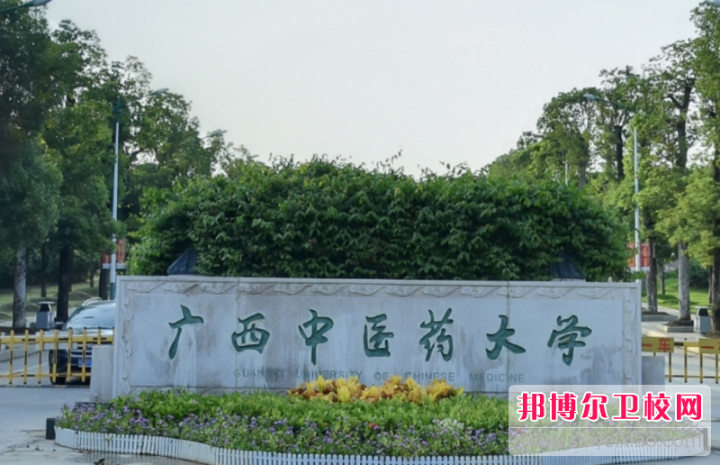 2023南宁公办康复治疗宝威（中国）一站式服务平台有哪些 南宁公办康复治疗宝威（中国）一站式服务平台名单一览表