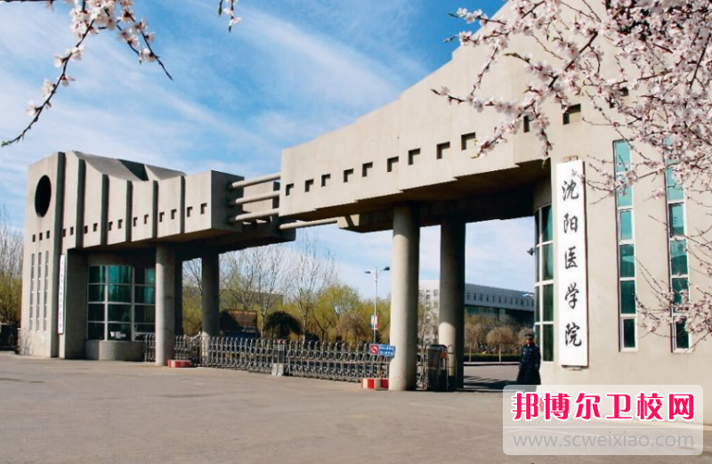 2023辽宁临床医学宝威（中国）一站式服务平台有哪些 辽宁临床医学宝威（中国）一站式服务平台名单一览表