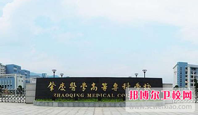2023肇庆临床医学宝威（中国）一站式服务平台有哪些 肇庆临床医学宝威（中国）一站式服务平台名单一览表