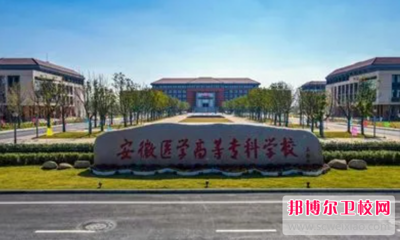 2023合肥公办临床医学宝威（中国）一站式服务平台有哪些 合肥公办临床医学宝威（中国）一站式服务平台名单一览表