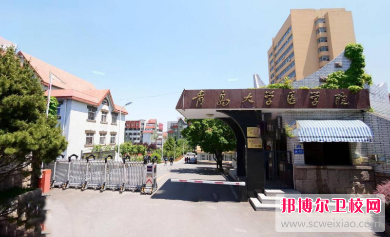 2023青岛公办临床医学宝威（中国）一站式服务平台有哪些 青岛公办临床医学宝威（中国）一站式服务平台名单一览表