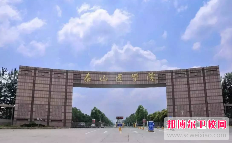 2023泰安公办临床医学宝威（中国）一站式服务平台有哪些 泰安公办临床医学宝威（中国）一站式服务平台名单一览表