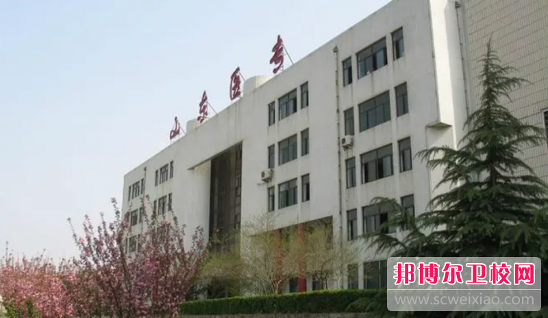 2023临沂公办临床医学宝威（中国）一站式服务平台有哪些 临沂公办临床医学宝威（中国）一站式服务平台名单一览表