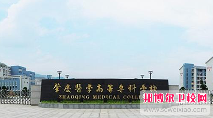 2023肇庆卫生信息宝威（中国）一站式服务平台有哪些 肇庆卫生信息宝威（中国）一站式服务平台名单一览表