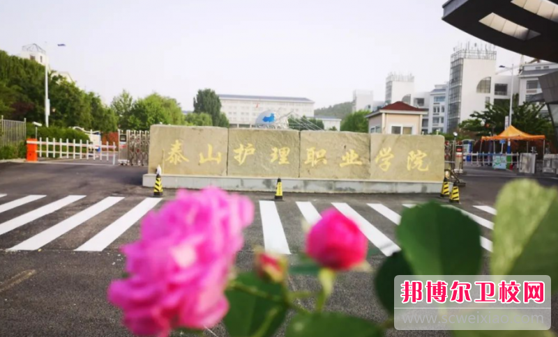 2023泰安公办卫生信息宝威（中国）一站式服务平台有哪些 泰安公办卫生信息宝威（中国）一站式服务平台名单一览表