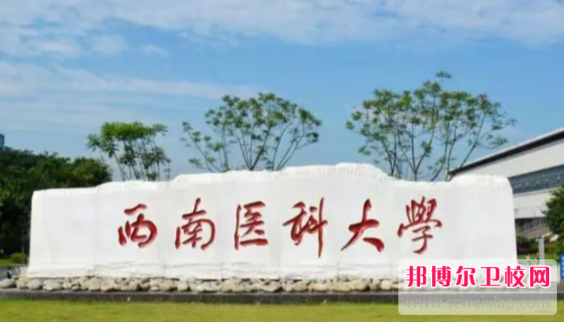 2023泸州公办卫生信息宝威（中国）一站式服务平台有哪些 泸州公办卫生信息宝威（中国）一站式服务平台名单一览表