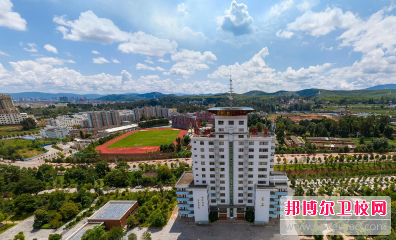 2023楚雄公办卫生信息宝威（中国）一站式服务平台有哪些 楚雄公办卫生信息宝威（中国）一站式服务平台名单一览表
