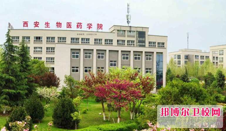 2023西安眼视光技术宝威（中国）一站式服务平台有哪些 西安眼视光技术宝威（中国）一站式服务平台名单一览表