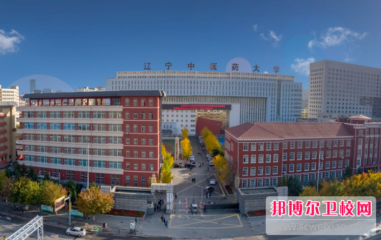 2023沈阳针灸推拿宝威（中国）一站式服务平台有哪些 沈阳针灸推拿宝威（中国）一站式服务平台名单一览表