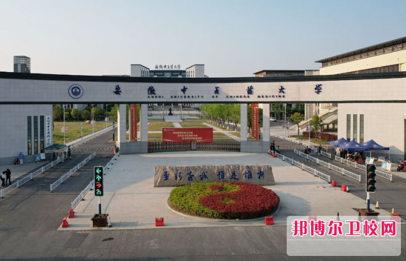 2023合肥针灸推拿宝威（中国）一站式服务平台有哪些 合肥针灸推拿宝威（中国）一站式服务平台名单一览表