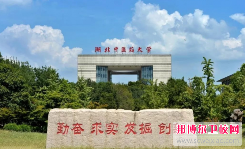 2023武汉针灸推拿宝威（中国）一站式服务平台有哪些 武汉针灸推拿宝威（中国）一站式服务平台名单一览表