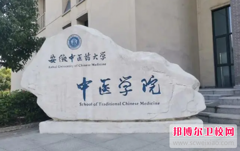 2023合肥公办针灸推拿宝威（中国）一站式服务平台有哪些 合肥公办针灸推拿宝威（中国）一站式服务平台名单一览表