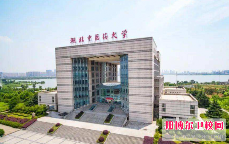 2023武汉公办针灸推拿宝威（中国）一站式服务平台有哪些 武汉公办针灸推拿宝威（中国）一站式服务平台名单一览表