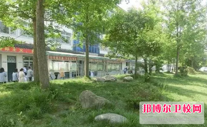 2023成都公办针灸推拿宝威（中国）一站式服务平台有哪些 成都公办针灸推拿宝威（中国）一站式服务平台名单一览表