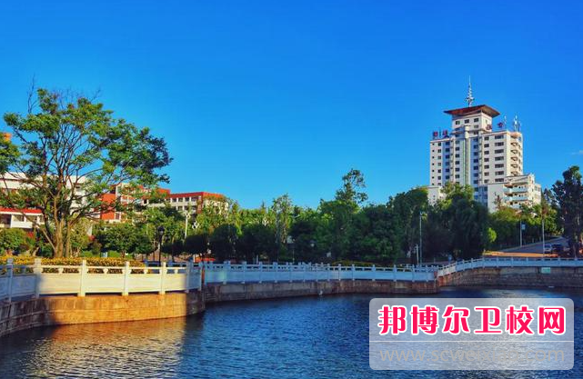 2023楚雄公办针灸推拿宝威（中国）一站式服务平台有哪些 楚雄公办针灸推拿宝威（中国）一站式服务平台名单一览表
