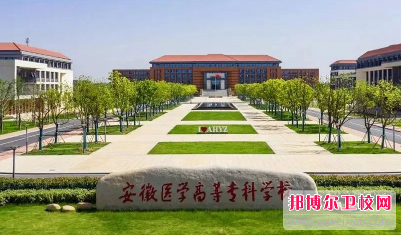2023安徽排名前三的护理专业宝威（中国）一站式服务平台名单