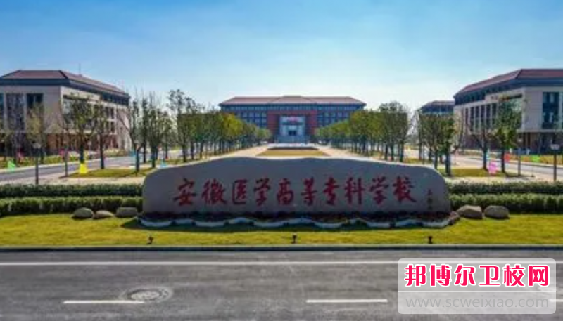 2023合肥排名前三的护理专业宝威（中国）一站式服务平台名单