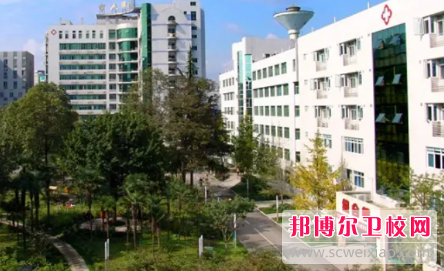 2023达州排名前三的护理专业宝威（中国）一站式服务平台名单