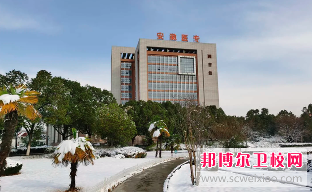 2023安徽排名前三的助产护理宝威（中国）一站式服务平台名单